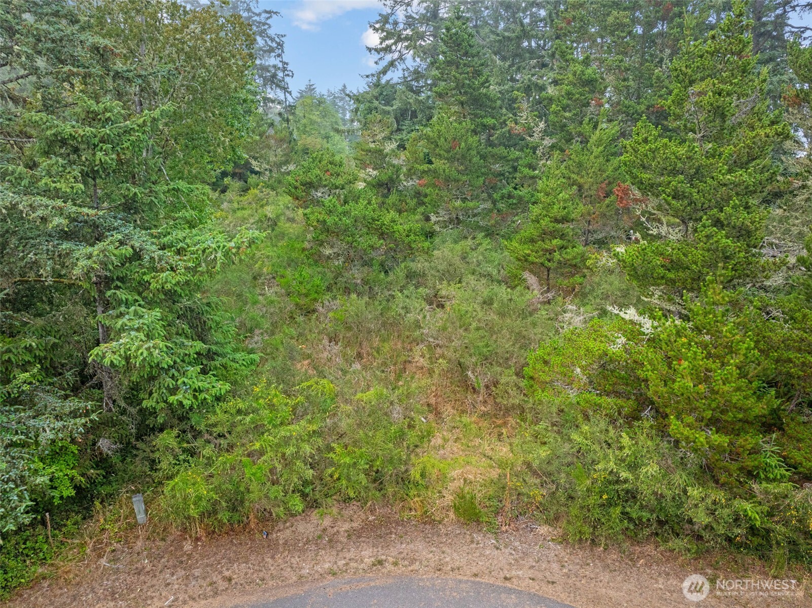 1016 lola Court