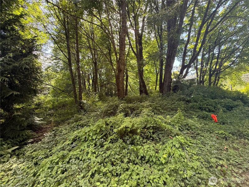 0 Cape Horn Drive
