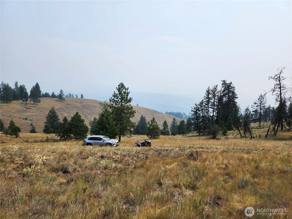 Photo of 0 TBD Rose Valley Road, Republic, WA 99166 (MLS # 2560232)