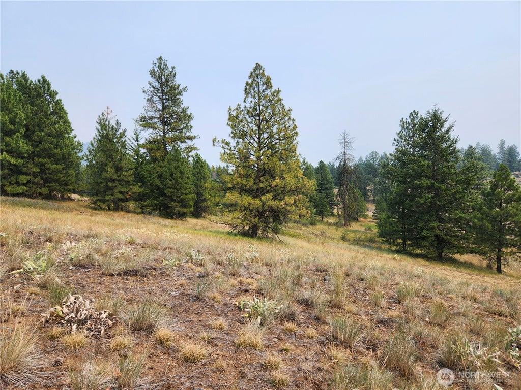 Photo of 0 TBD Rose Valley Road, Republic, WA 99166 (MLS # 2560232)