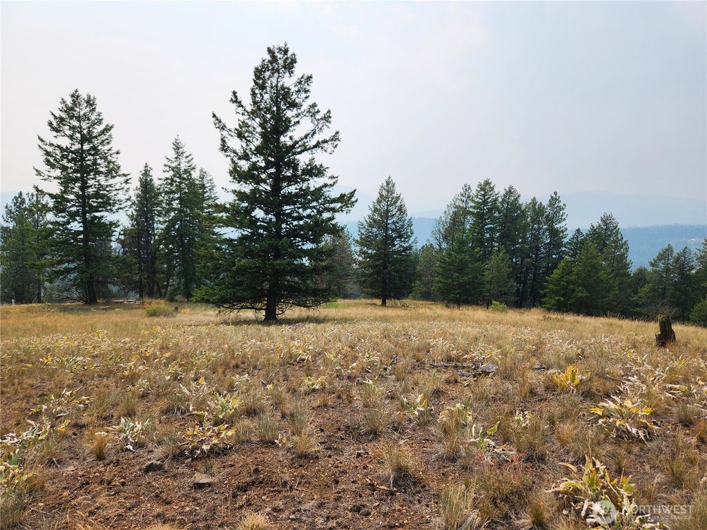 Photo of 0 TBD Rose Valley Road, Republic, WA 99166 (MLS # 2560232)