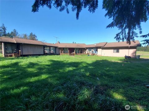 Photo of 4924 165th Lane SW, Rochester, WA 98579 (MLS # 2496242)
