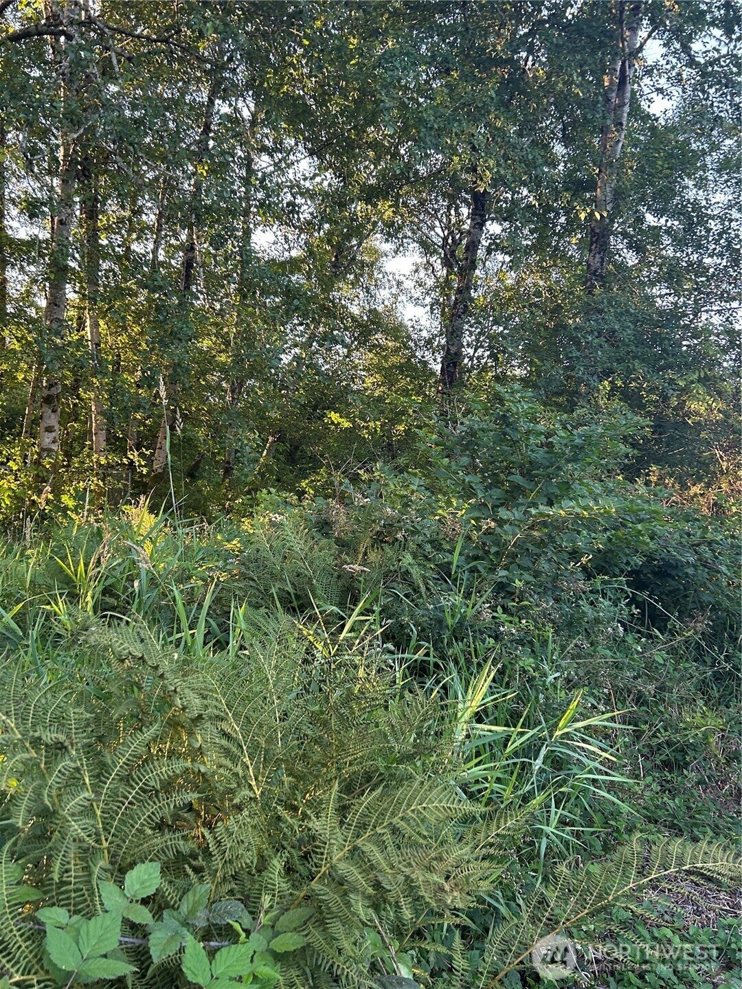 1403 state rt 105
