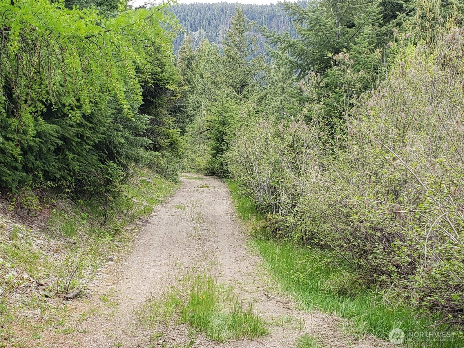 3300 F.S. Road