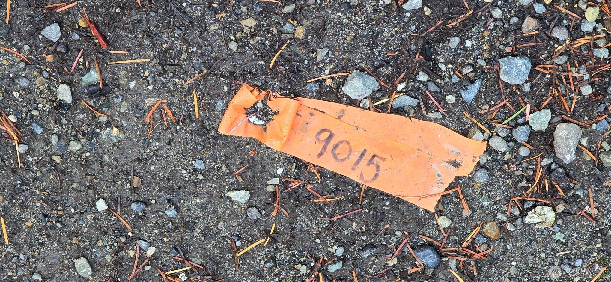 0 SW XXX 204th Street