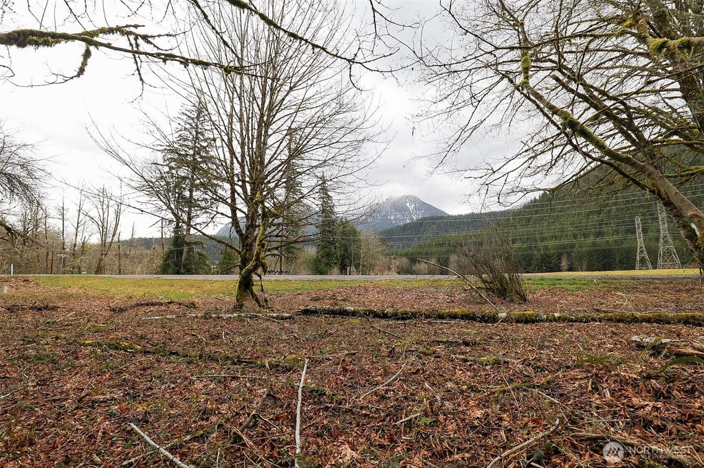 Photo of 31101 Boulder Creek Drive, Arlington, WA 98223 (MLS # 2348259)