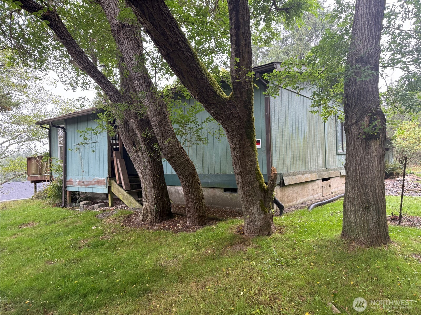 401 Starr Street