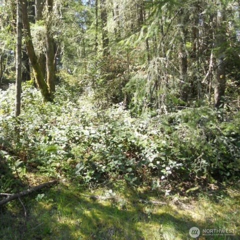 Photo of 10510 Olympic Place, Anderson Island, WA 98303 (MLS # 2593945)