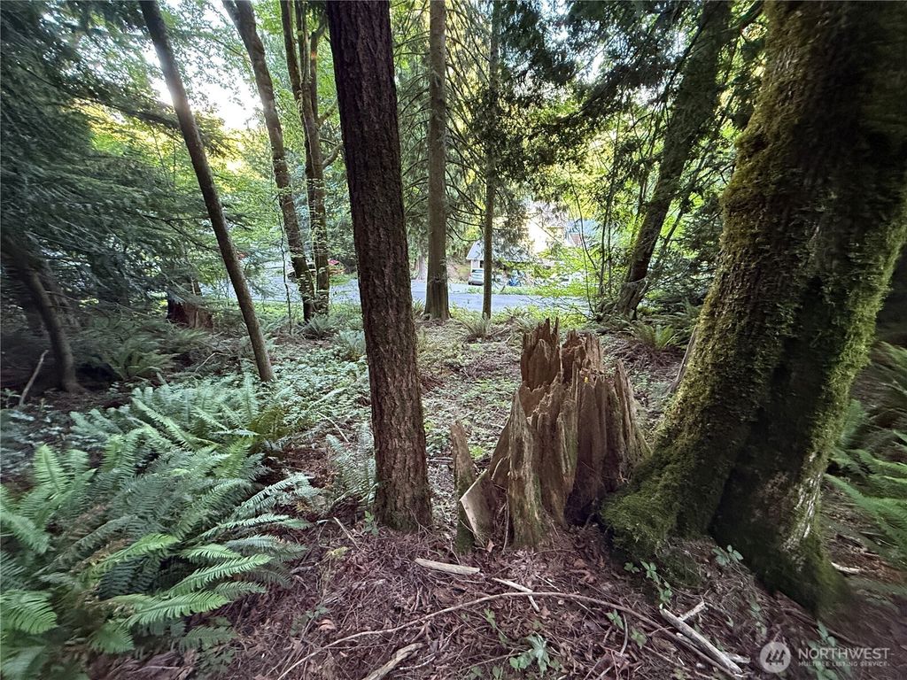 Photo of 0 West Road, Sedro Woolley, WA 98284 (MLS # 2533255)