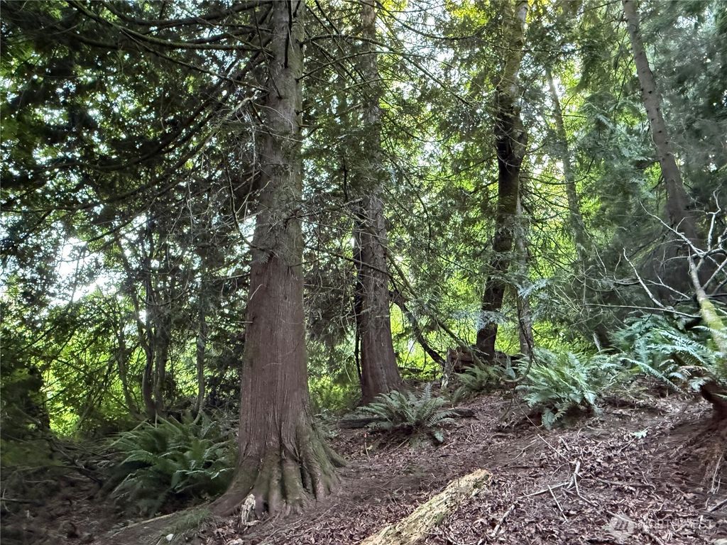 Photo of 0 West Road, Sedro Woolley, WA 98284 (MLS # 2533255)