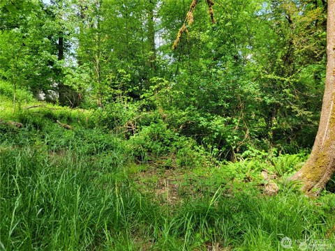 Photo of 2530 Handicap Court SW, Olympia, WA 98512 (MLS # 2566605)