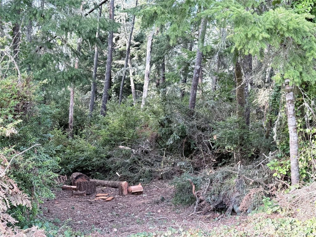 Photo of 0 U Street, Ocean Park, WA 98640 (MLS # 2478026)