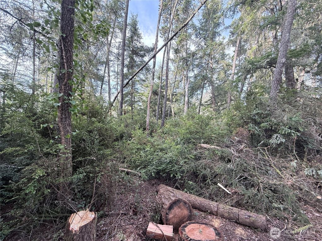 Photo of 0 U Street, Ocean Park, WA 98640 (MLS # 2478026)