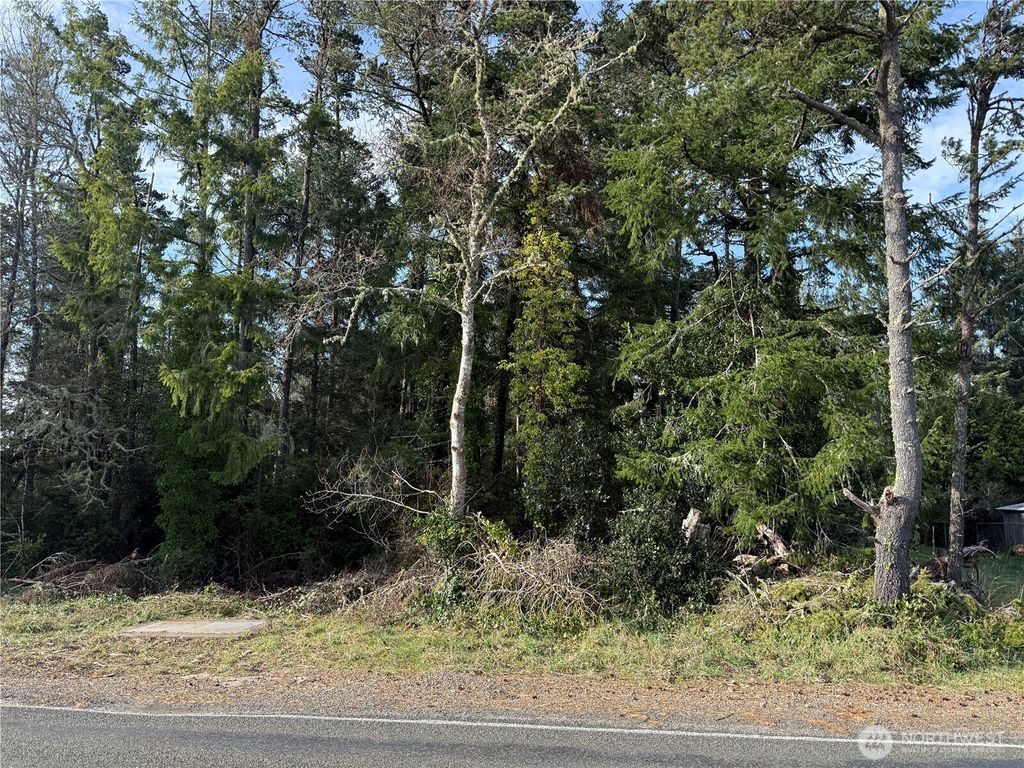 Photo of 0 U Street, Ocean Park, WA 98640 (MLS # 2478026)