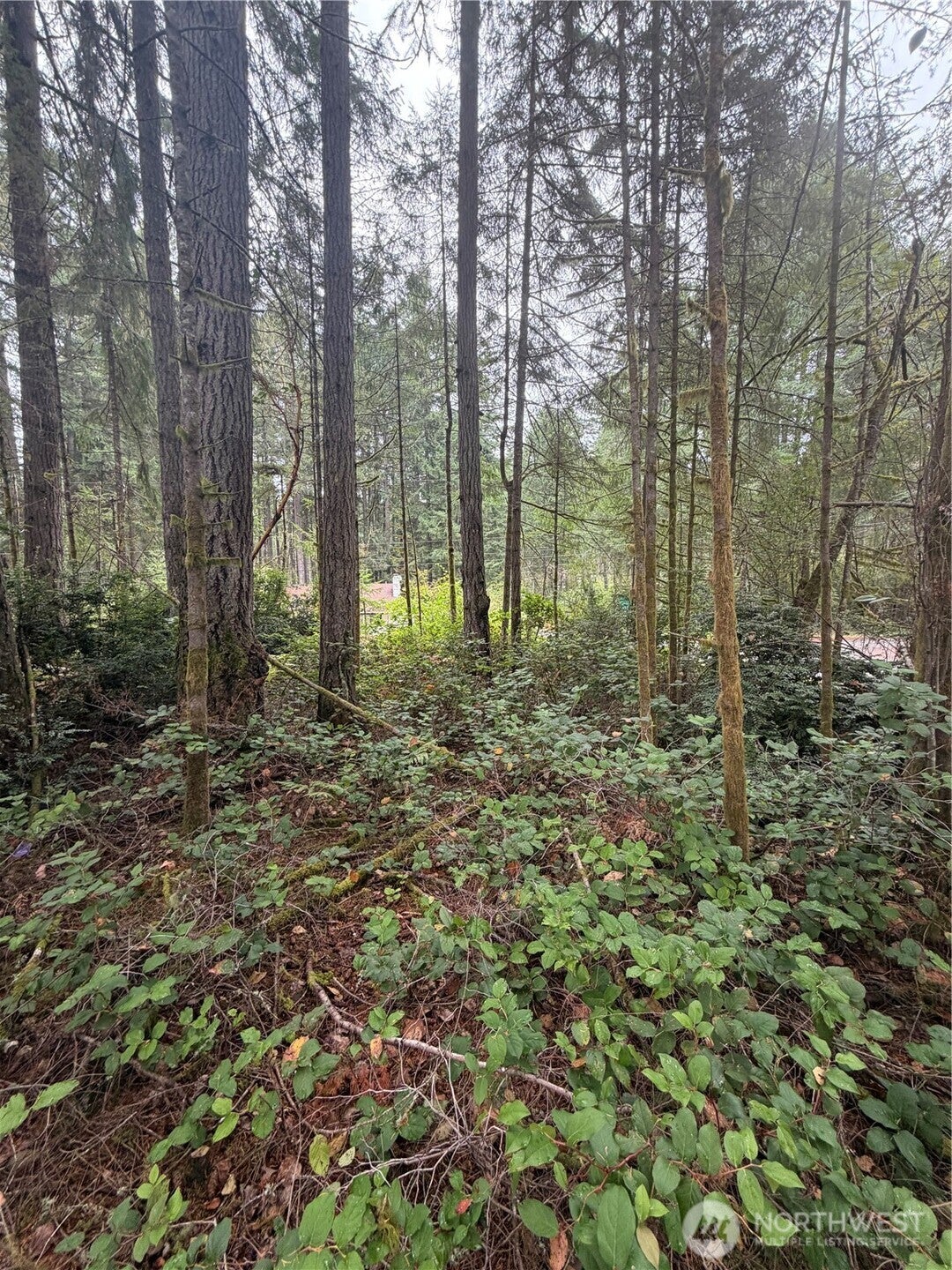 11928 Country Club Drive