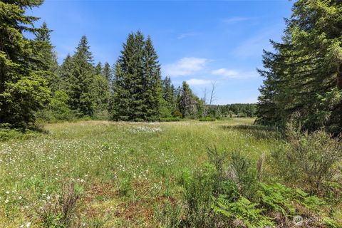 Photo of 22030 Peissner Road SE, Yelm, WA 98597 (MLS # 2402096)