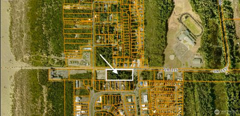 0 Damon Road Ocean Shores WA 98569