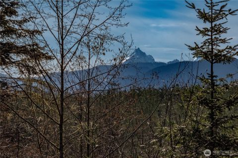 Photo of 1119 Eaglemount Road, Port Townsend, WA 98368 (MLS # 2499251)