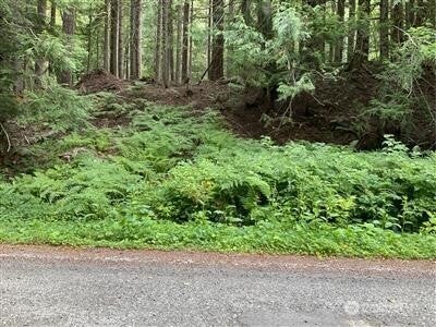 87442 NE Old Cascade Highway
