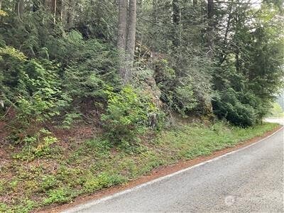 Photo of 87442 NE Old Cascade Highway, Skykomish, WA 98288 (MLS # 2561859)