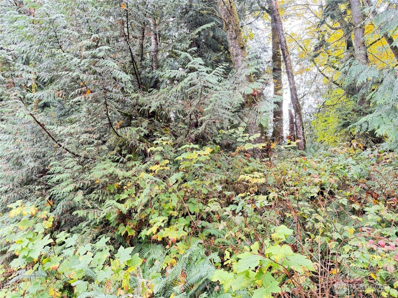 1 W Alder Drive