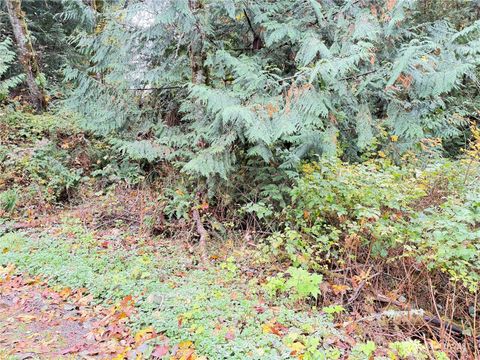 Photo of 1 W Alder Drive, Sedro Woolley, WA 98284 (MLS # 2451334)