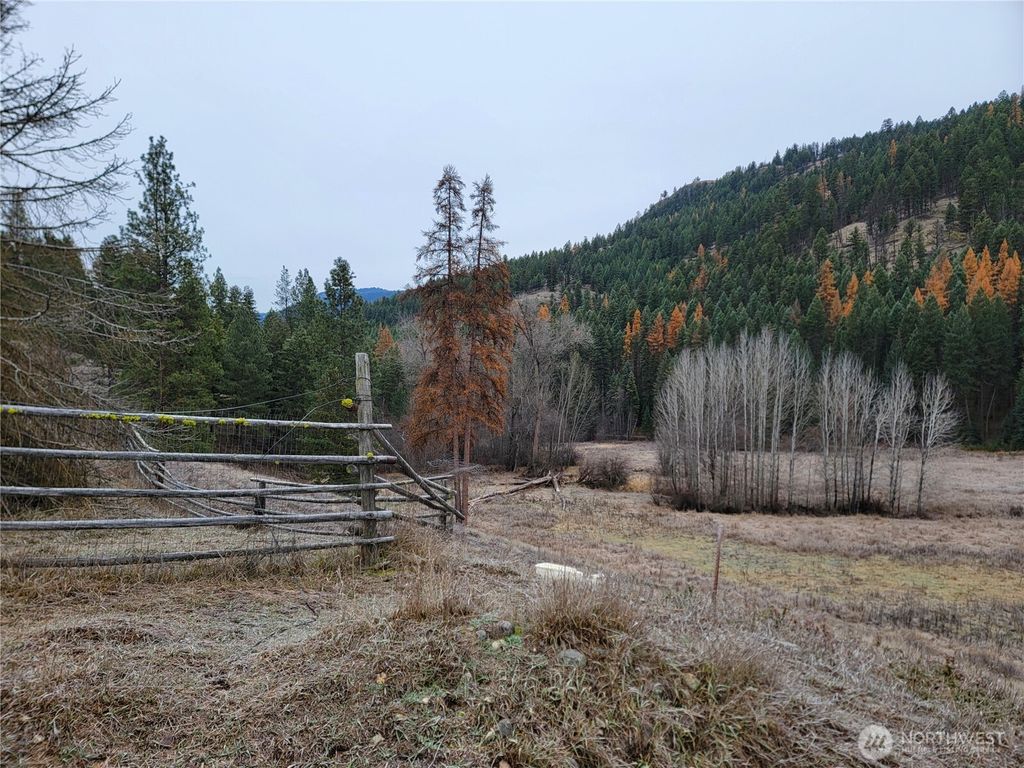 Photo of 20 Haag Road, Wauconda, WA 98859 (MLS # 2457854)