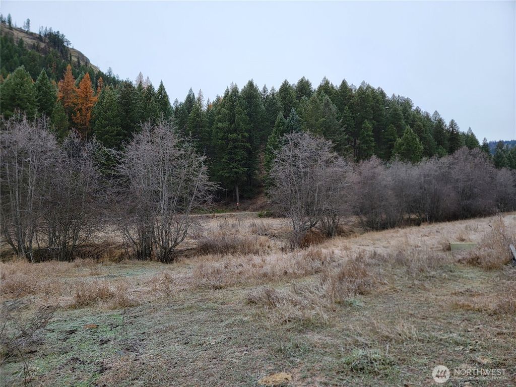 Photo of 20 Haag Road, Wauconda, WA 98859 (MLS # 2457854)