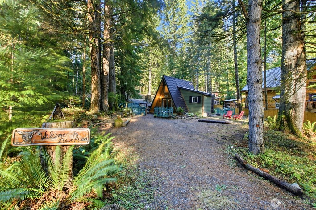 Photo of 218 Paradise Drive, Ashford, WA 98304 (MLS # 2457312)