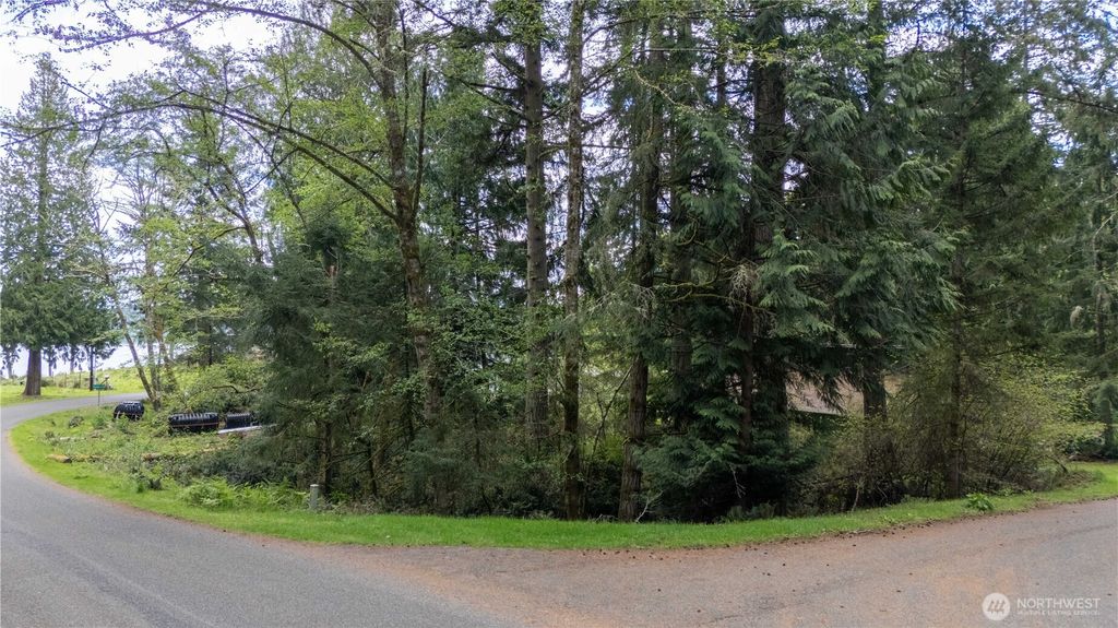 Photo of 10501 105th Ave Court, Anderson Island, WA 98303 (MLS # 2518121)