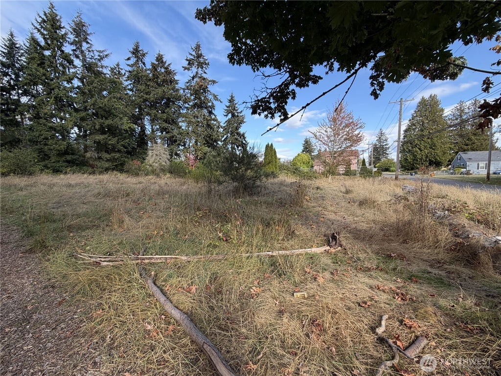 Photo of 515 S 82nd Street, Tacoma, WA 98408 (MLS # 2585977)