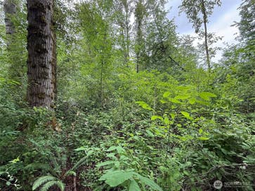 1810 S 27th Street Renton WA 98055