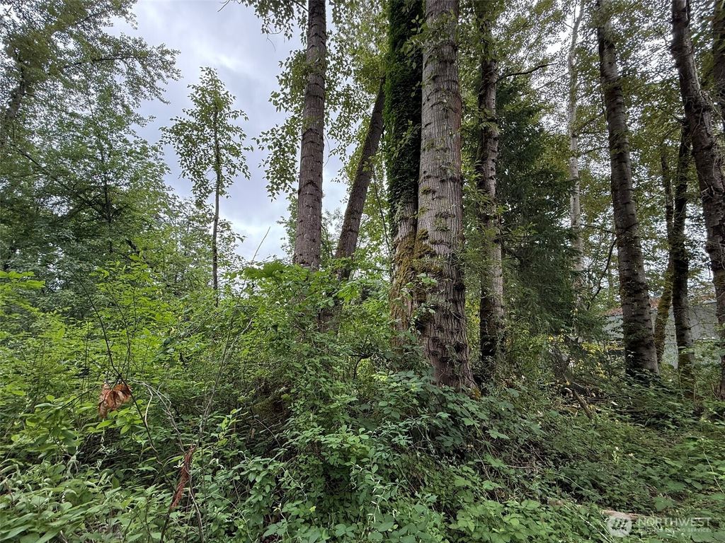 Photo of 1810 S 27th Street, Renton, WA 98055 (MLS # 2549268)