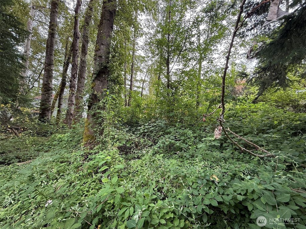 Photo of 1810 S 27th Street, Renton, WA 98055 (MLS # 2549268)