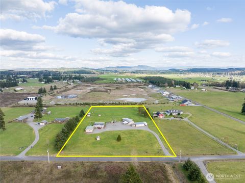 Photo of 16826 Sheldon Lane SW, Rochester, WA 98579 (MLS # 2500691)