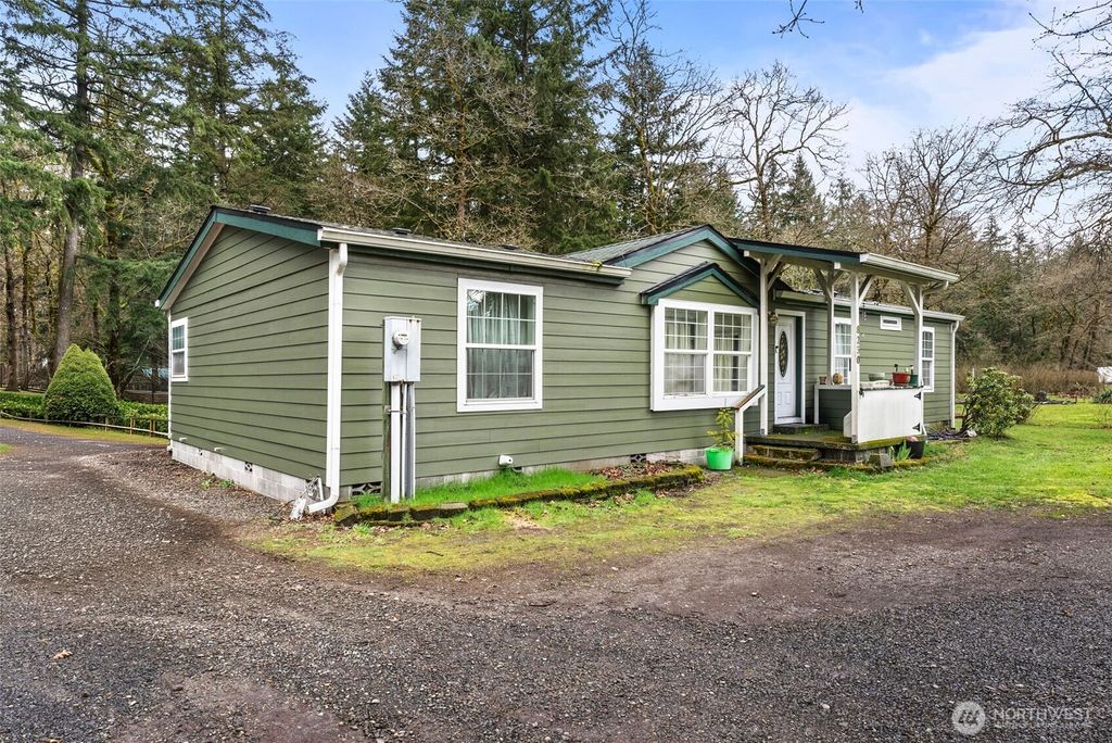 Photo of 8230 Riffe Lane SW, Rochester, WA 98579 (MLS # 2480523)