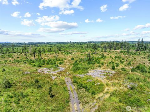 0 Sareault Road Toledo WA 98591