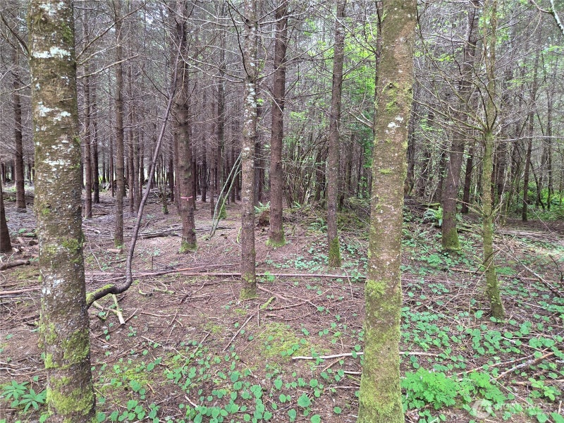 13 Beaver Hill Lane