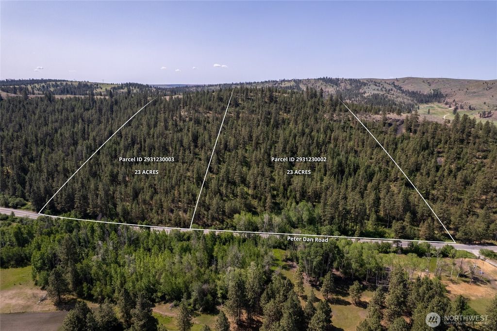 Photo of 0 Peter Dan Creek Rd, Coulee Dam, WA 99116 (MLS # 2516133)