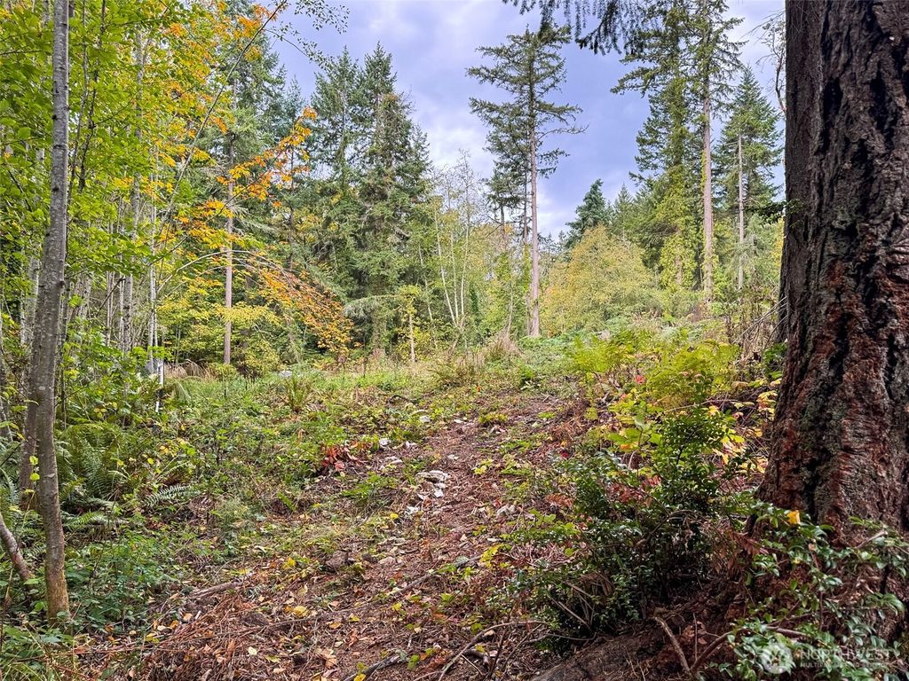 Photo of 4700 Rose Avenue NE, Bainbridge Island, WA 98110 (MLS # 2468624)