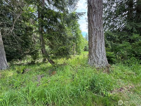 371 Rainier Lane Port Ludlow WA 98365