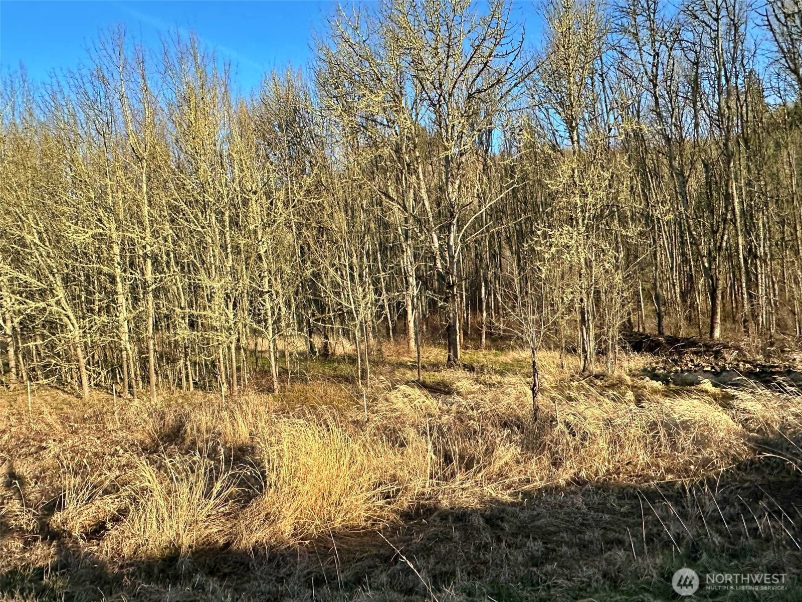 4057 US Hwy 12