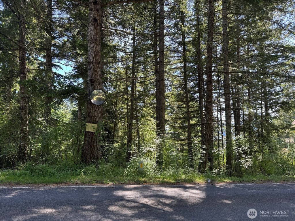Photo of 48 Rosario Road, Orcas Island, WA 98245 (MLS # 2556147)