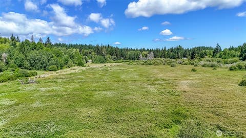 Photo of 202 184th Avenue Ct SW, Lakebay, WA 98349 (MLS # 2565902)