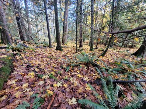 Photo of 5376 Reese Hill Road, Sumas, WA 98295 (MLS # 2176348)