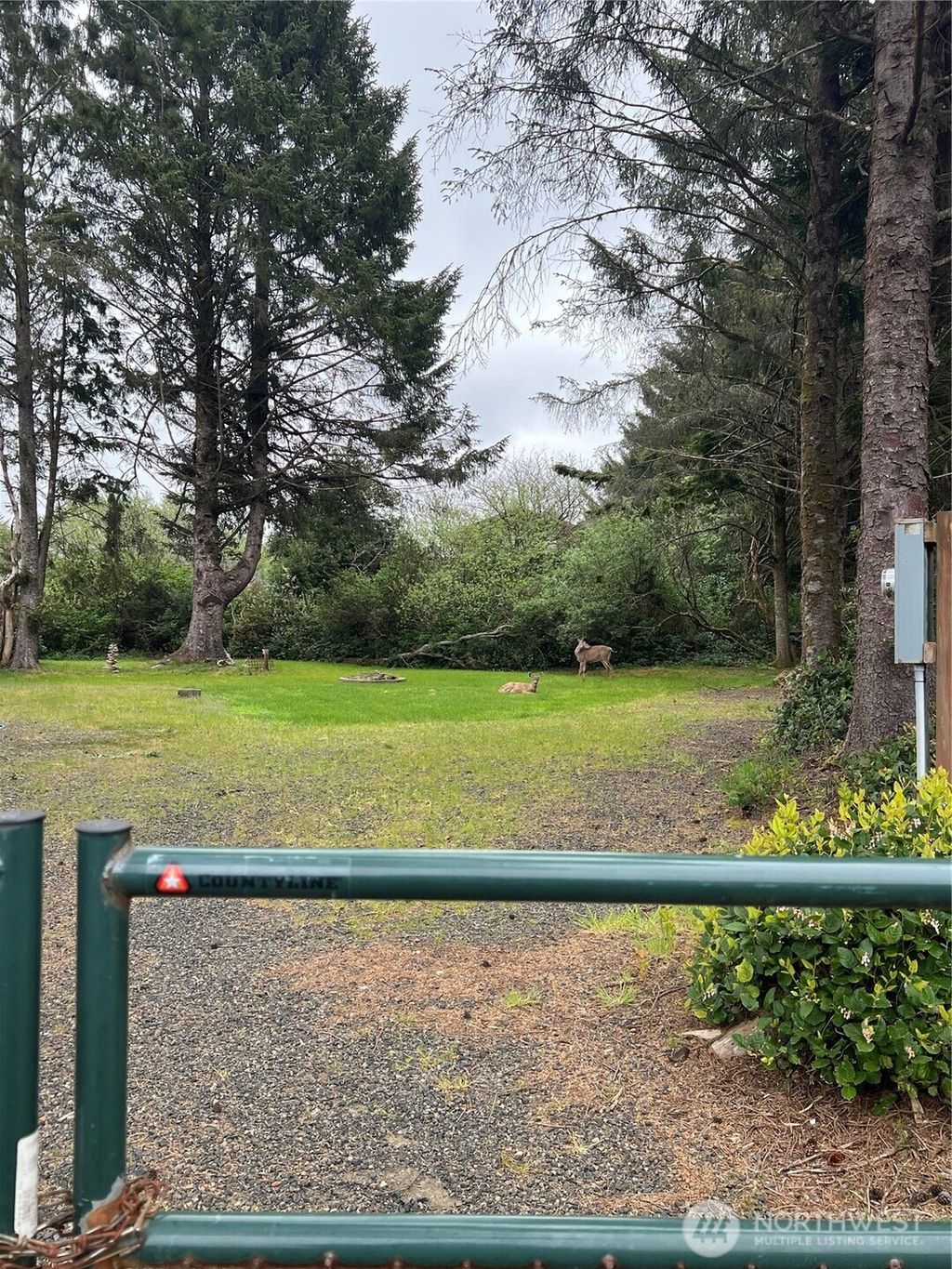 Photo of 143 Aries Court SW, Ocean Shores, WA 98569 (MLS # 2521554)