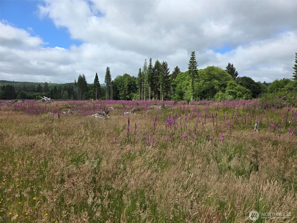 Photo of 0 Off of North River Road, Cosmopolis, WA 98537 (MLS # 2553402)