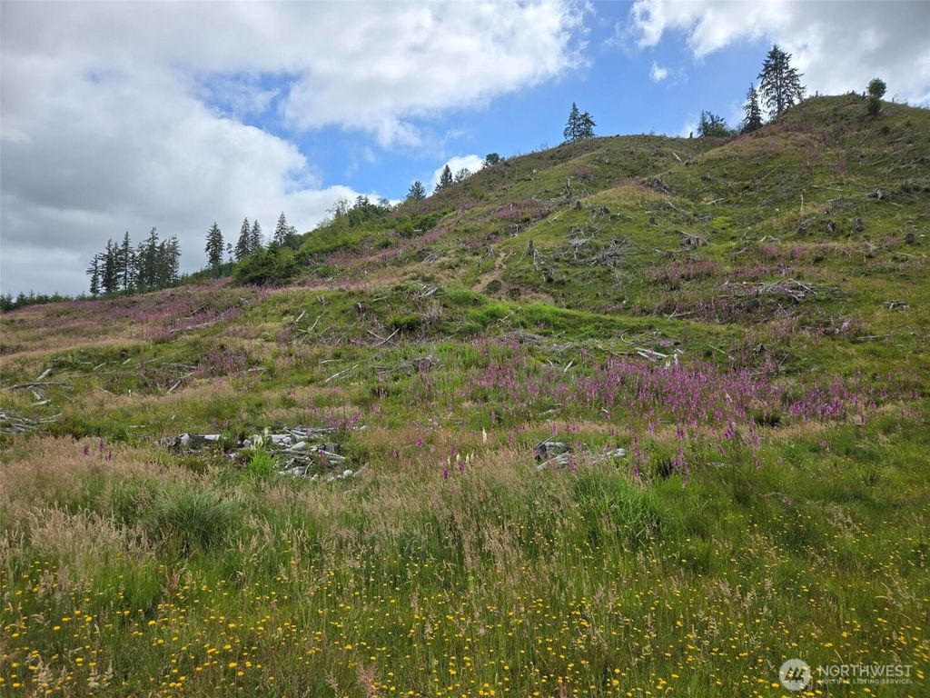 Photo of 0 Off of North River Road, Cosmopolis, WA 98537 (MLS # 2553402)