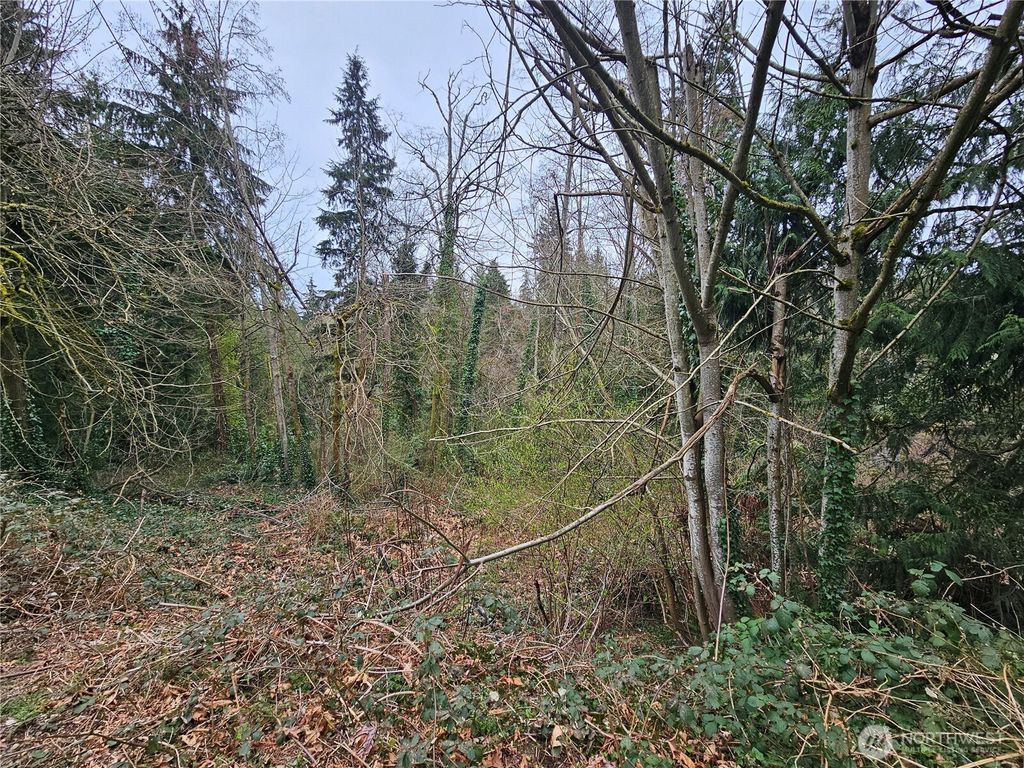 Photo of 194 XX Forest Park Drive NE, Lake Forest Park, WA 98155 (MLS # 2468226)