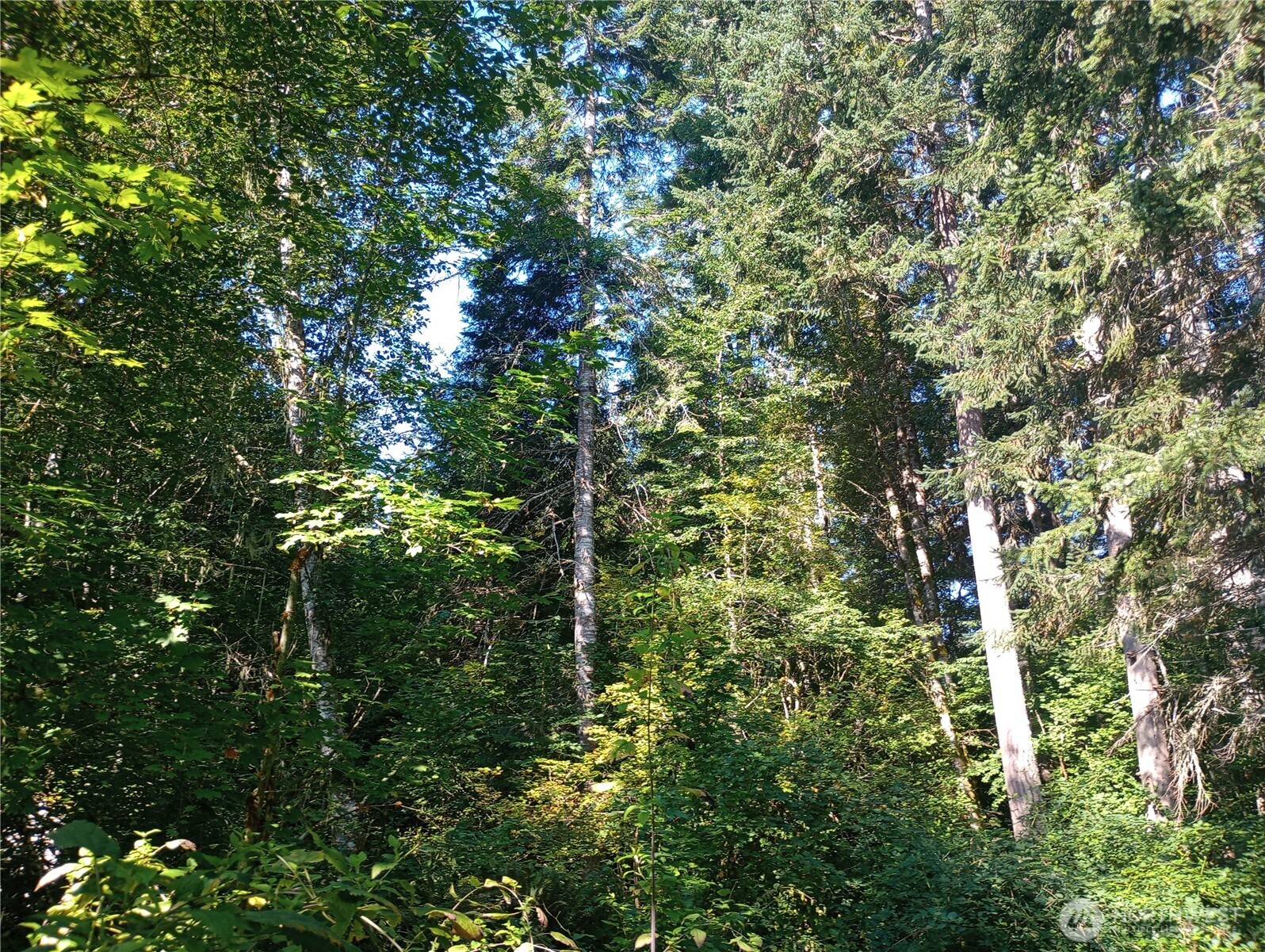 31401 556th Street Court E